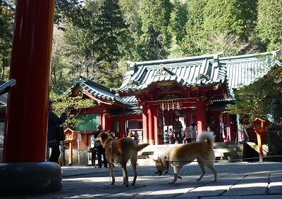 P1050304.jpg