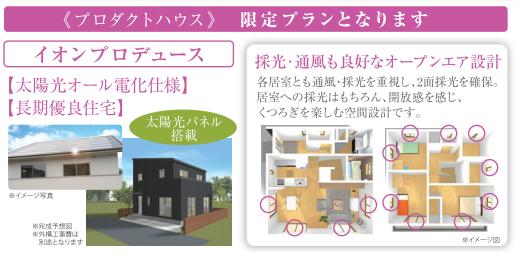 イオンの家