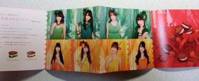 AKB48 東京パステルサンド4