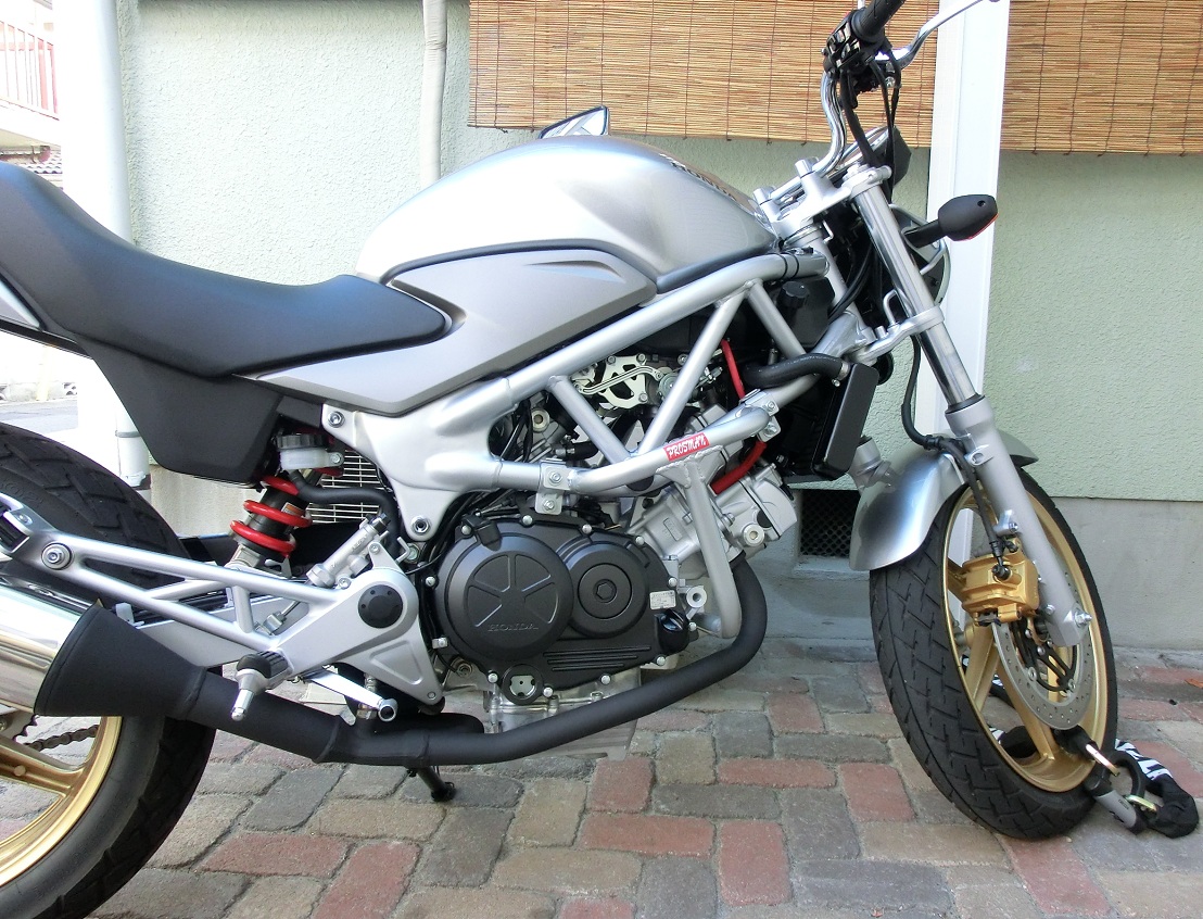 プロスマンエンジンガードtype 2　VTR250