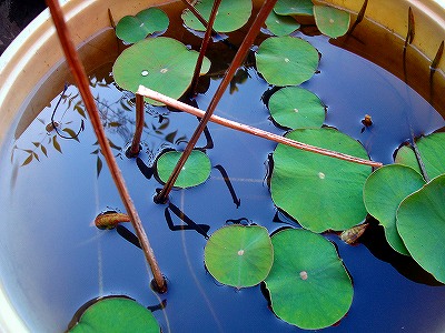 DSC04695_edited.jpg