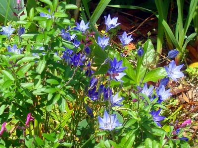 DSC04830_edited.jpg