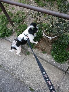 20130320_165231.jpg