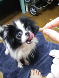 20130326_110115.jpg