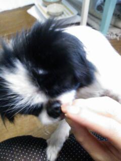 20130412_222148.jpg