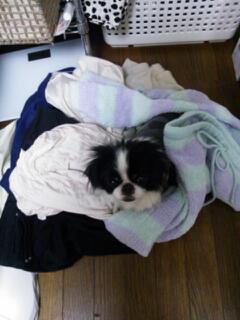 20130414_223201.jpg