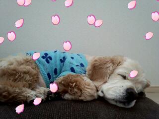 20130416_081112.jpg