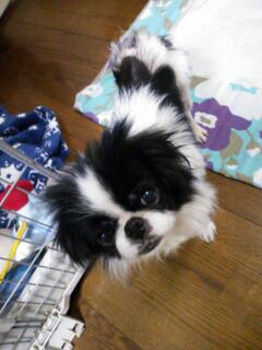20130417_194934.jpg