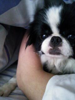 20130424_222700.jpg