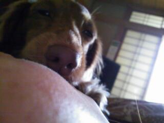 20130507_204150.jpg
