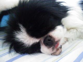 20130512_234044.jpg