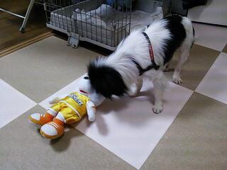 20130531_210113.jpg