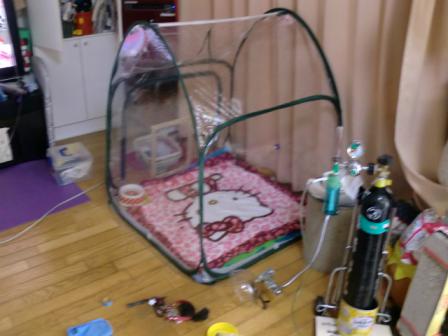 酸素ハウスも借りたけど2日しか使わなかったね