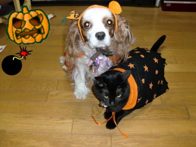 ハロウイン