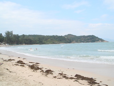 DSC00829.jpg