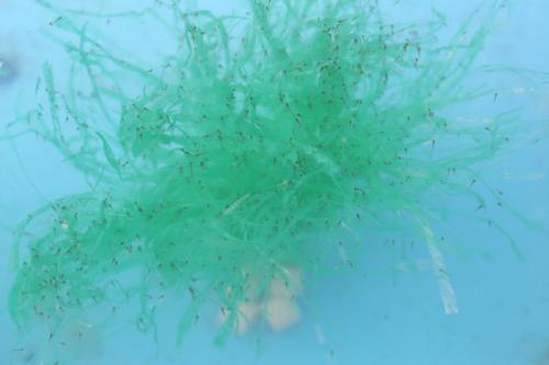 20130416A01.jpg
