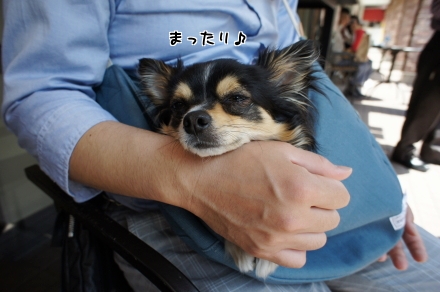 kota5 1⑩