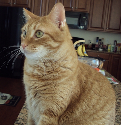 009_20121010105337.jpg