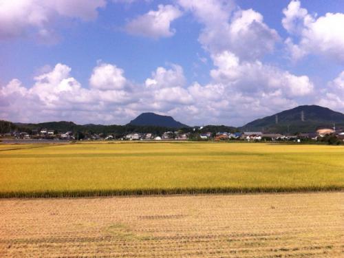 201210108.jpg