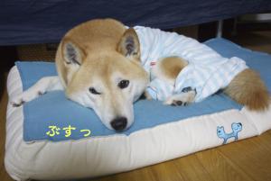 DSC_8816.jpg