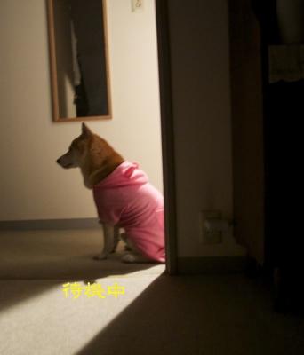 DSC_8997.jpg