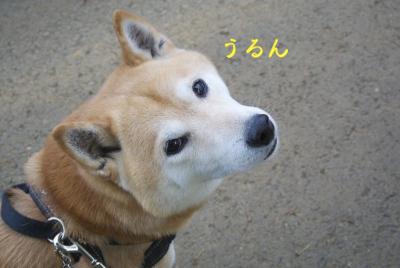 DSC_9005.jpg