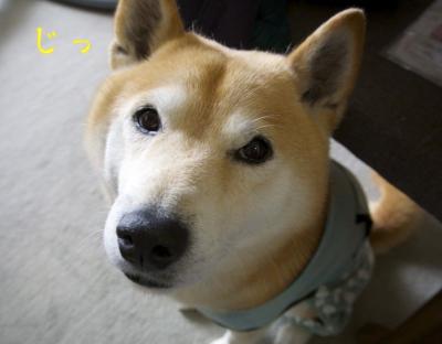 DSC_9105.jpg