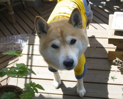 DSC_9310.jpg