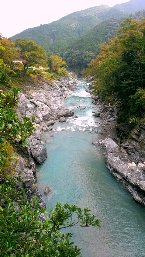 宮川全貌②