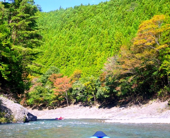 日高 緑