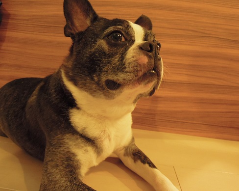 DSCN5374.jpg
