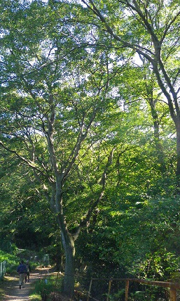 IMGP0788.jpg