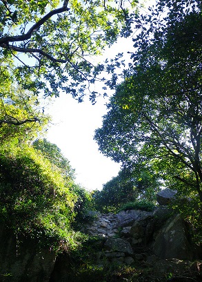 IMGP0796.jpg