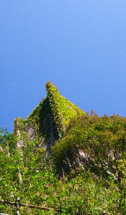 IMGP0800.jpg