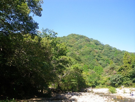 IMGP0802.jpg