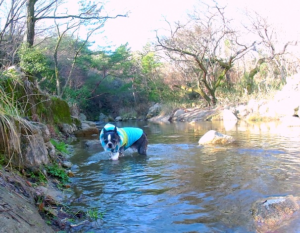 PICT0007.jpg