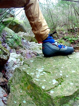 PICT0017.jpg
