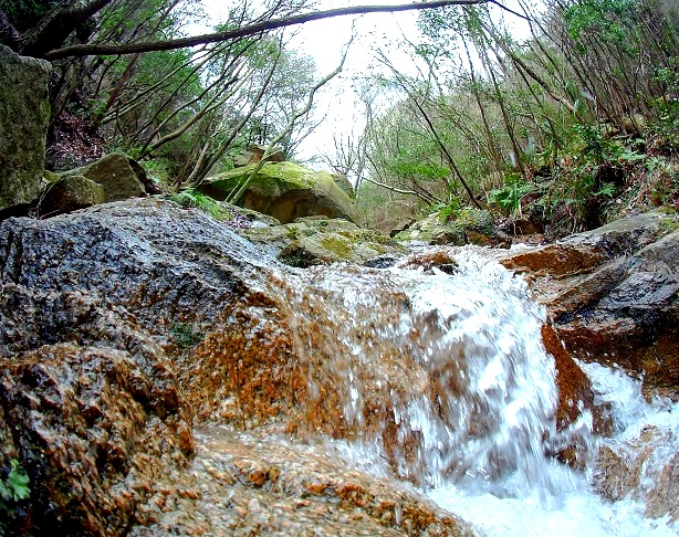 PICT0019.jpg