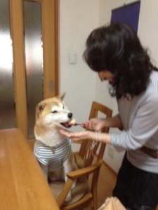 まま