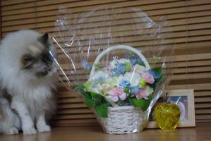 IMGP2124.jpg