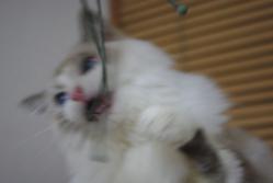 IMGP3815.jpg