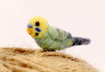 EJ_bird_RB_side.jpg