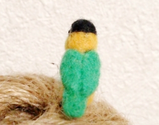 EJ_bird_ZGR_back.jpg
