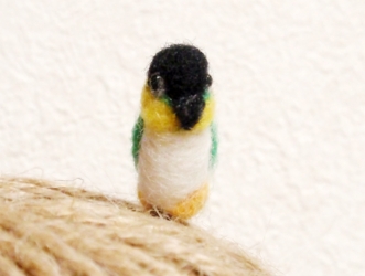 EJ_bird_ZGR_front.jpg