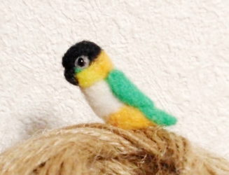 EJ_bird_ZGR_side.jpg