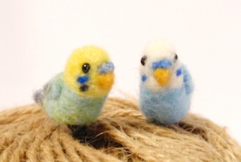 EJ_bird_both.jpg