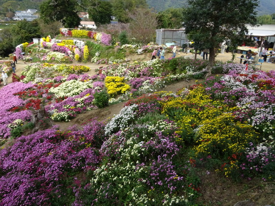 DSC00711.jpg