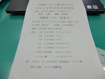 画像 954