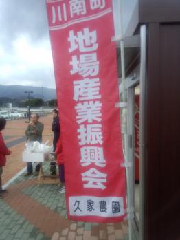 IMG_20121222_165248.jpg