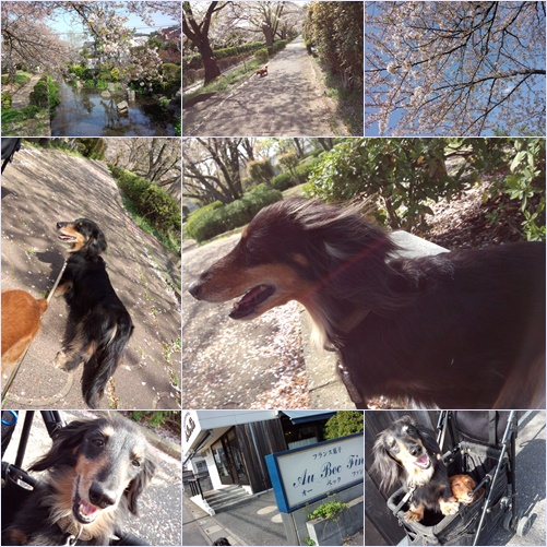 0405_20130407230309.jpg